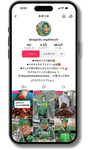 ねぎニキのTikTokプロフィール画面