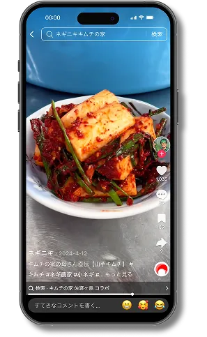 ねぎニキのTikTok投稿画面